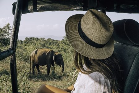 13 Night / 14 -Day Wildlife and Nature Adventure in Sri Lanka