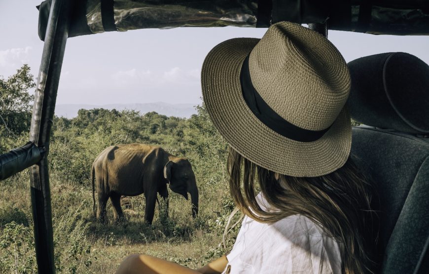 13 Night / 14 -Day Wildlife and Nature Adventure in Sri Lanka