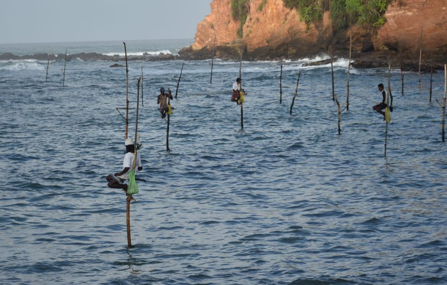 Sri Lanka Tour: 5 Nights / 6 Days