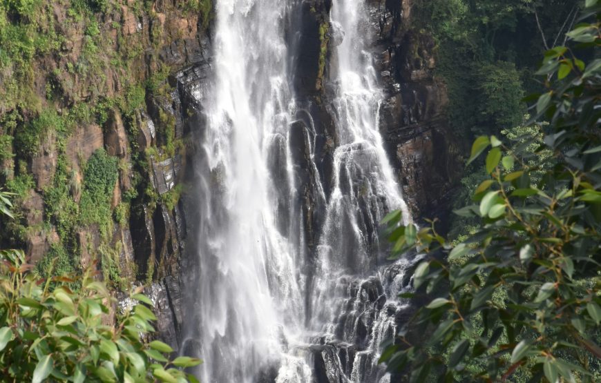 14-Day Sri Lanka Tour Itinerary