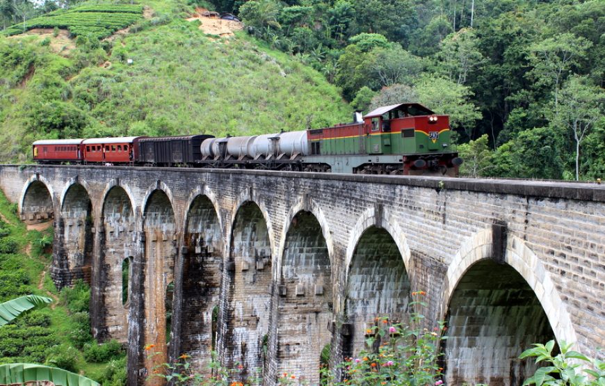 19 Nights / 20-Day Sri Lanka Tour Itinerary