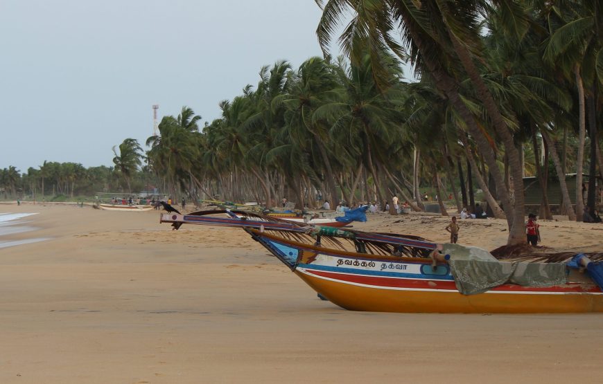 Sri Lanka Tour: 8 Days / 7 Nights