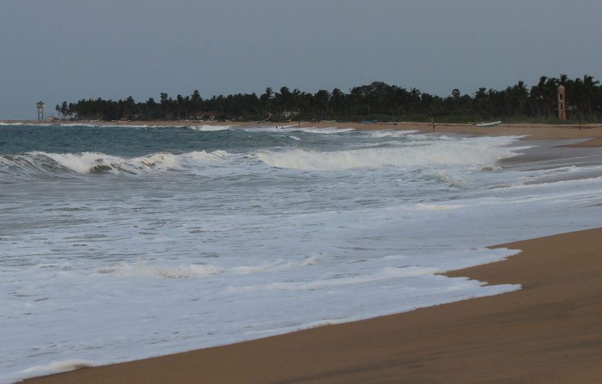 Sri Lanka Tour: 8 Days / 7 Nights