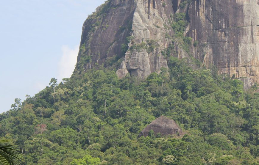 Sri Lanka Tour: 5 Nights / 6 Days