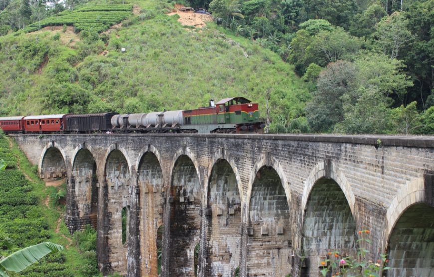 7 Night / 8 Day Adventure Tour