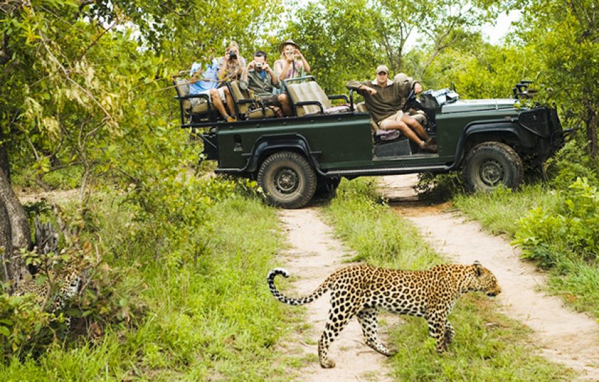 13 Night / 14 -Day Wildlife and Nature Adventure in Sri Lanka