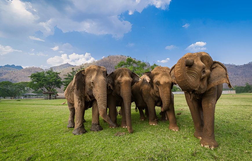 9 Night / 10-Day Wildlife and Nature Adventure in Sri Lanka